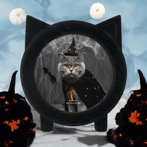 NEW Isaac Jacobs Black Cat Resin Flocked Fuzzy Kitten Picture Photo Frame